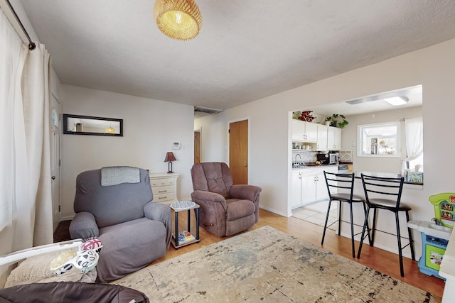 living room featuring light hardwood / wood-style flooring