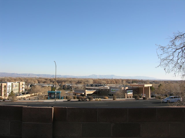 property's view of city with a mountain view