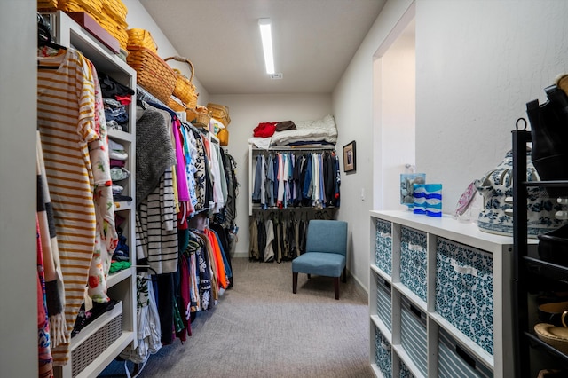 spacious closet with carpet floors