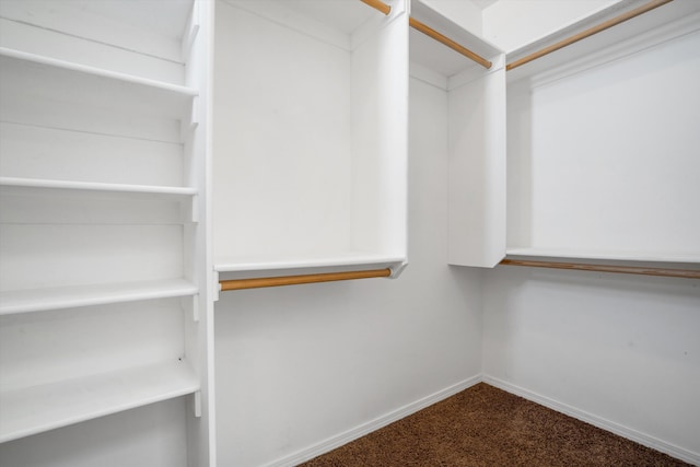 spacious closet featuring carpet floors