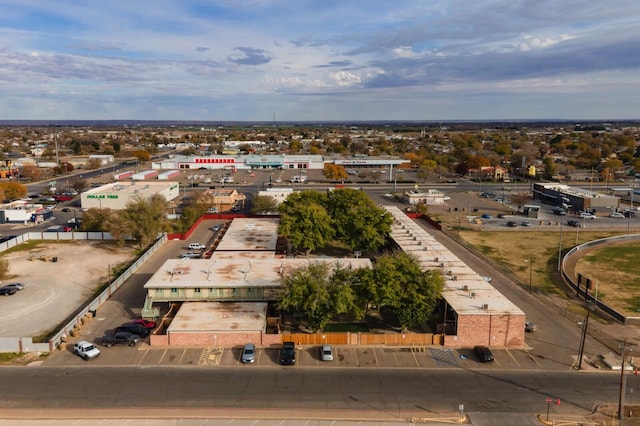 drone / aerial view