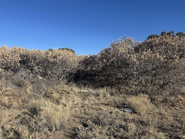 2 Punch Ct, Tijeras, NM 87059 - photo 10