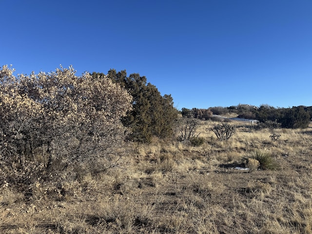 2 Punch Ct, Tijeras, NM 87059 - photo 6