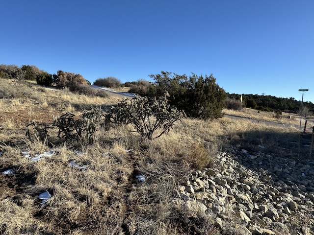 2 Punch Ct, Tijeras, NM 87059 - photo 13