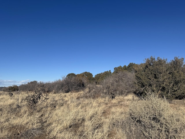 2 Punch Ct, Tijeras, NM 87059 - photo 12