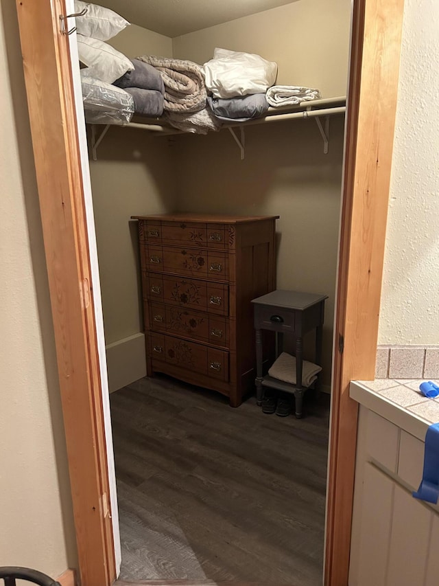 spacious closet featuring dark wood-type flooring