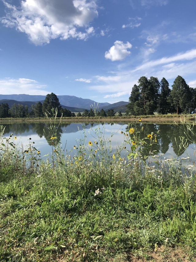 water view with a mountain view