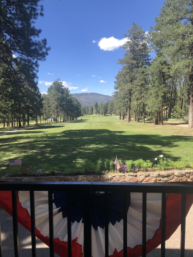 view of yard featuring a mountain view