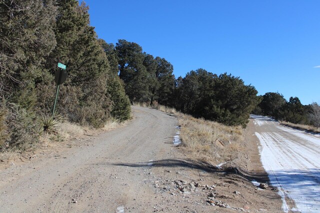 20 Gipson Rd, Edgewood, NM 87015 - photo 4