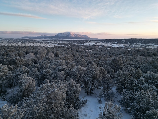 22 Punch Ct, Tijeras NM, 87059 land for sale