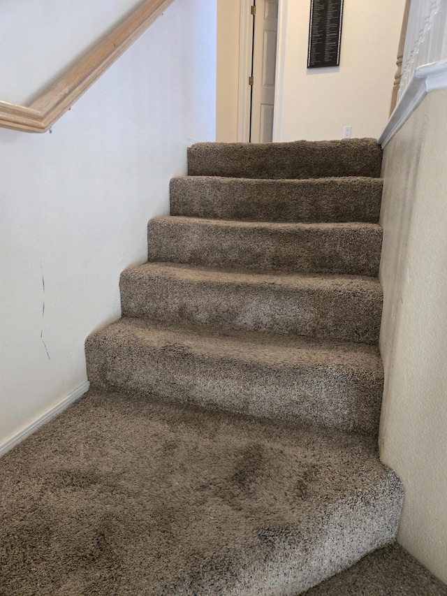 staircase featuring carpet floors