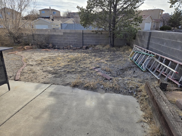 view of yard featuring a patio area