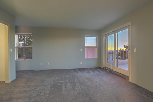 view of carpeted empty room