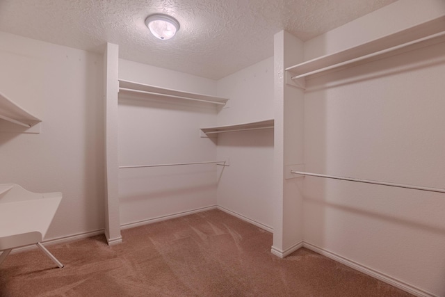 walk in closet with light colored carpet