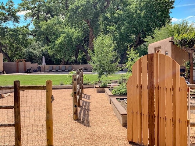 view of yard with a vegetable garden
