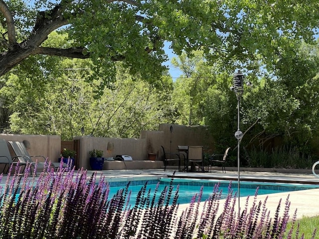 view of swimming pool with a fenced backyard, a fenced in pool, and a patio