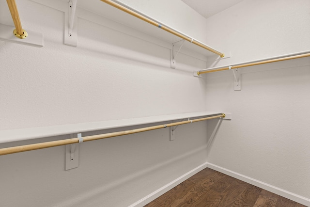 spacious closet featuring dark wood-style flooring