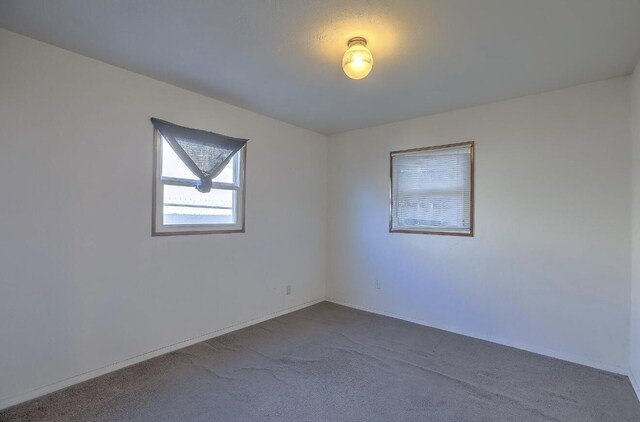 unfurnished room with carpet