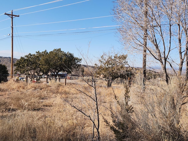 view of yard with a rural view