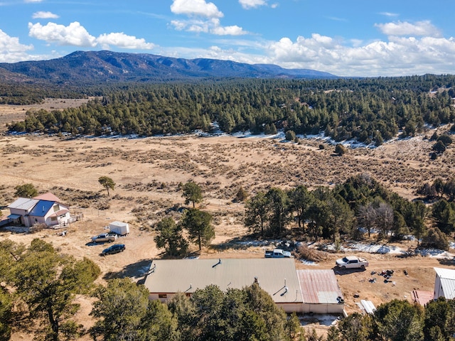 aerial view with a mountain view