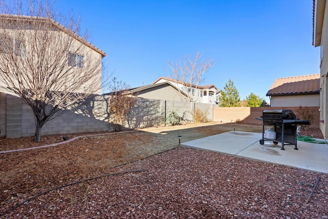 view of yard featuring a patio