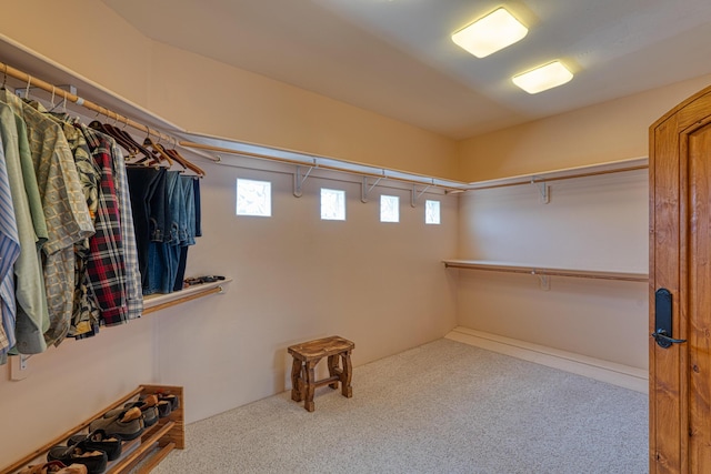 view of walk in closet