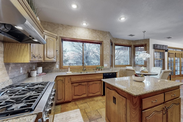 kitchen with gas range, dishwasher, a center island, ventilation hood, and sink