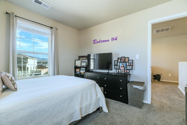 bedroom with carpet and a textured ceiling