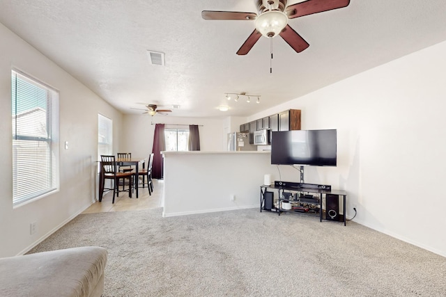 living room featuring light colored carpet