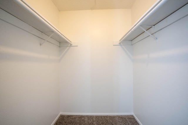 walk in closet featuring carpet