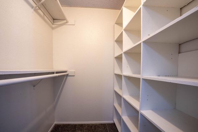 walk in closet with carpet flooring