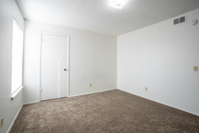 spare room featuring a textured ceiling, carpet, and a wealth of natural light