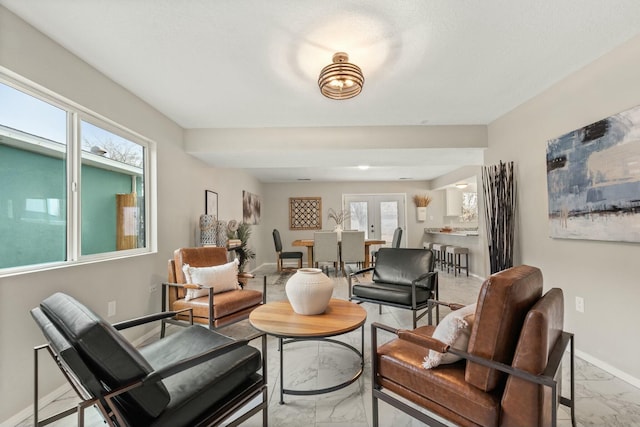 living area featuring french doors and a wealth of natural light