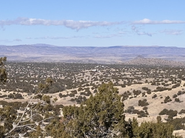 48 Pinon Spgs, Magdalena NM, 87825 land for sale