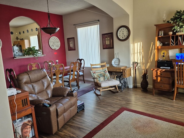 living room featuring dark hardwood / wood-style flooring