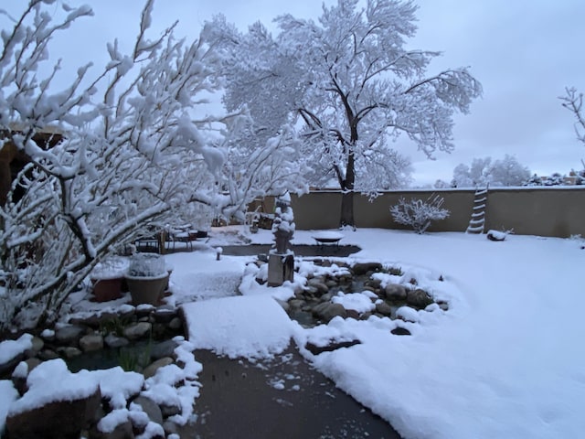 view of snowy yard