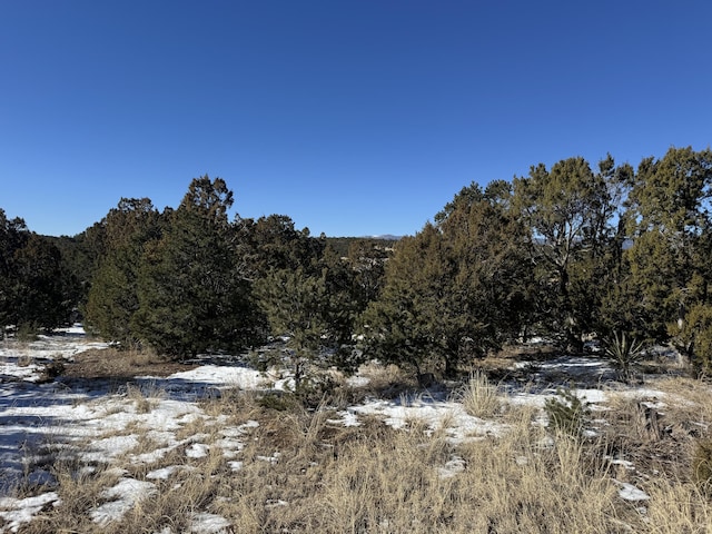 21 Punch Ct, Tijeras NM, 87059 land for sale