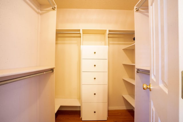 walk in closet with wood-type flooring