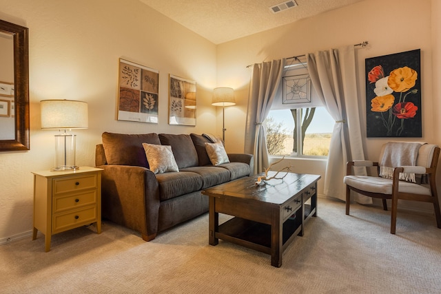 carpeted living room with a textured ceiling