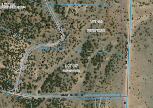 52 Wildflower Trl, Quemado NM, 87829 land for sale