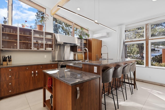 kitchen featuring a kitchen breakfast bar, range hood, and an island with sink