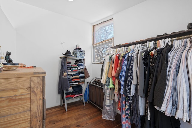 walk in closet with dark wood-type flooring