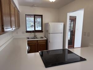 kitchen featuring sink, black electric stovetop, and white refrigerator