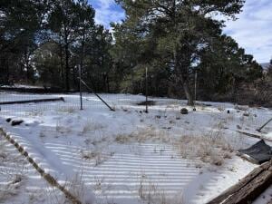 view of yard covered in snow