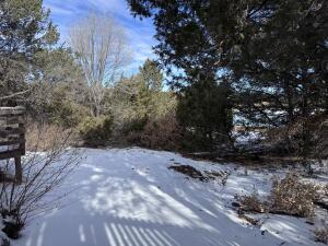 view of yard covered in snow