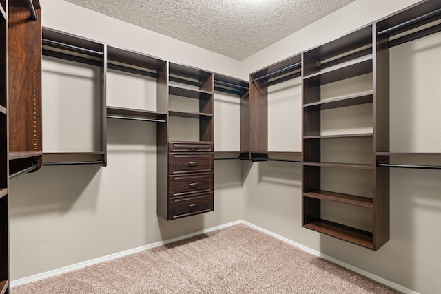 spacious closet featuring carpet