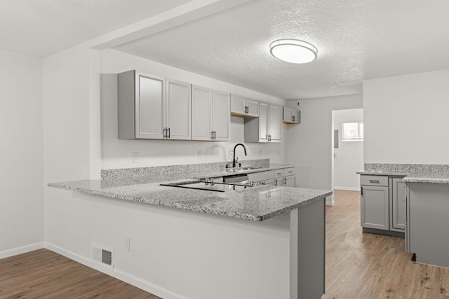 kitchen with sink, light hardwood / wood-style flooring, gray cabinetry, and kitchen peninsula