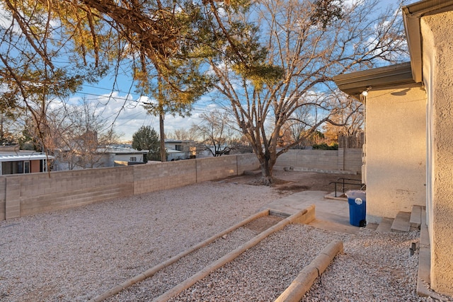 view of yard featuring a patio