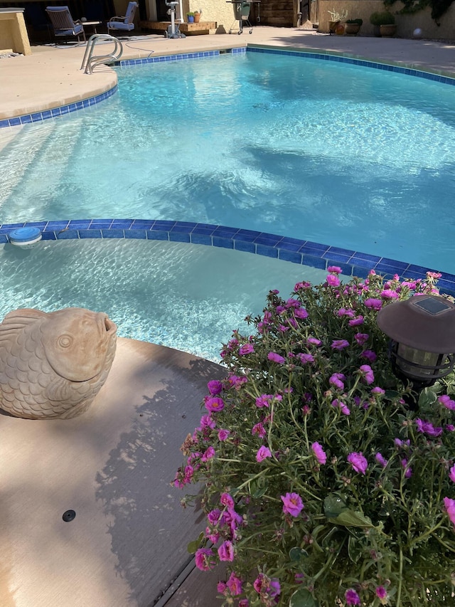 view of swimming pool