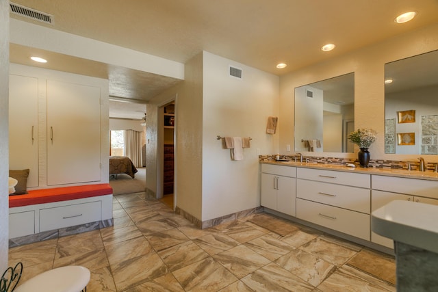 bathroom with vanity